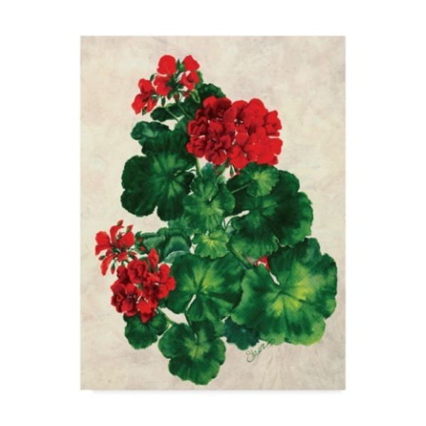 Trademark Fine Art Sher Sester 'Red Geranium' Canvas Art, 35x47 ALI20852-C3547GG